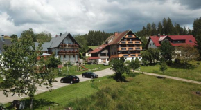 Café-Pension Feldbergblick Titisee-Neustadt